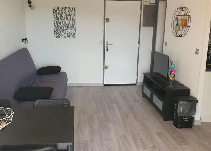 Apartment Les Terrasses De La Baronnie Climatise Avec 1 Et Piscine Ouverte De Fin Mai A Mi Septembre Parking Securise Avec Accroches Velo Disponible Sans Supplement *